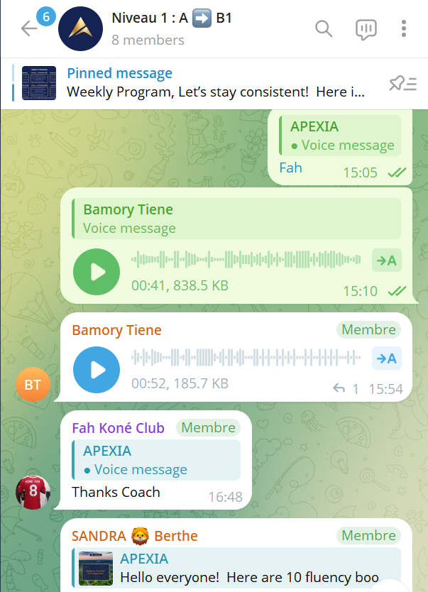 Capture de la classe virtuelle niveau 1