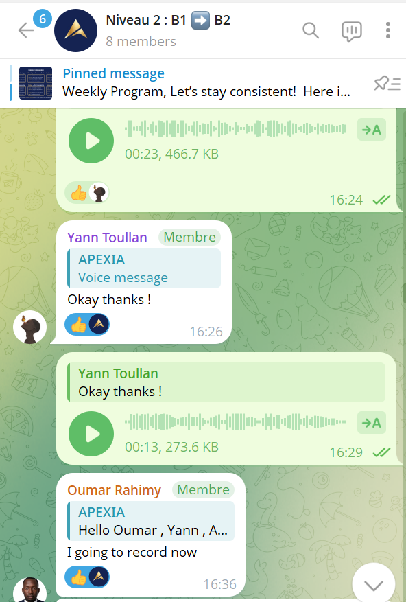 Capture de la classe virtuelle niveau 2